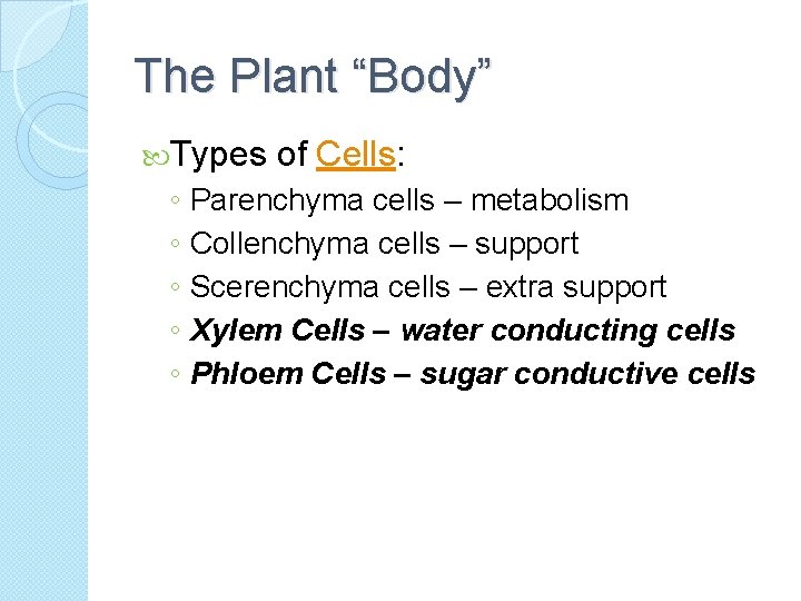 The Plant “Body” Types of Cells: ◦ Parenchyma cells – metabolism ◦ Collenchyma cells