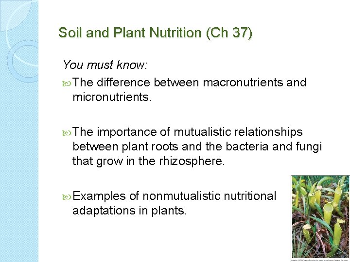 Soil and Plant Nutrition (Ch 37) You must know: The difference between macronutrients and