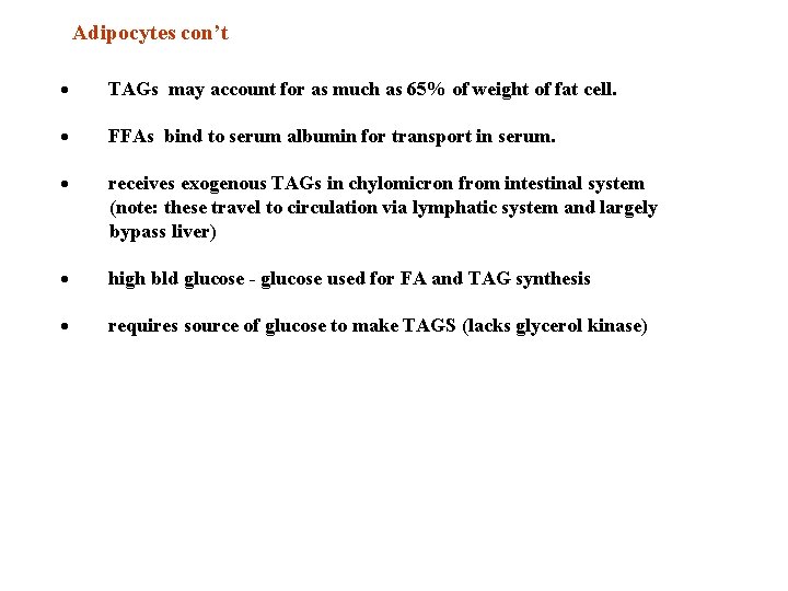 Adipocytes con’t · TAGs may account for as much as 65% of weight of