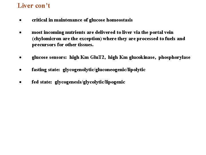 Liver con’t · critical in maintenance of glucose homeostasis · most incoming nutrients are