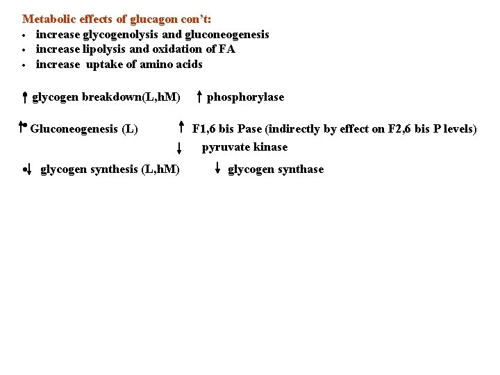 Metabolic effects of glucagon con’t: · increase glycogenolysis and gluconeogenesis · increase lipolysis and