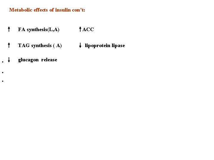 Metabolic effects of insulin con’t: · · FA synthesis(L, A) ACC TAG synthesis (