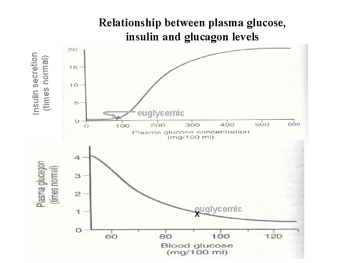 Insulin secretion (times normal) Relationship between plasma glucose, insulin and glucagon levels euglycemic X