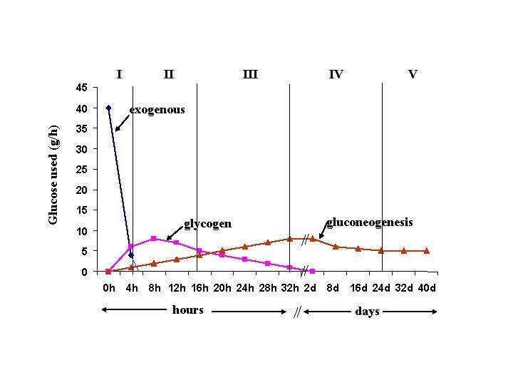 I II IV V 45 Glucose used (g/h) 40 exogenous 35 30 25 20