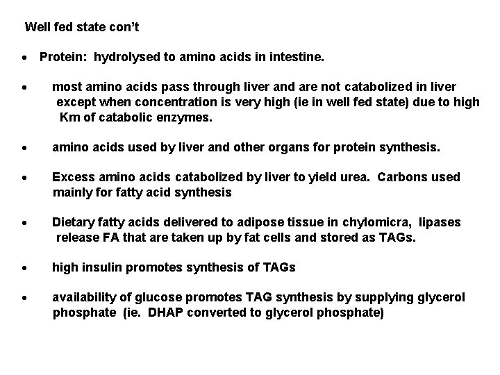  Well fed state con’t · Protein: hydrolysed to amino acids in intestine. ·