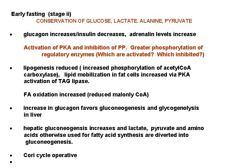  Early fasting (stage ii) CONSERVATION OF GLUCOSE, LACTATE. ALANINE, PYRUVATE · glucagon increases/insulin