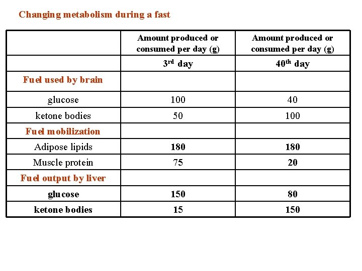 Changing metabolism during a fast Amount produced or consumed per day (g) 3 rd