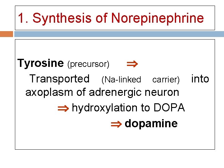 1. Synthesis of Norepinephrine Tyrosine (precursor) Transported (Na-linked carrier) into axoplasm of adrenergic neuron 1. Synthesis of Norepinephrine Tyrosine (precursor) Transported (Na-linked carrier) into axoplasm of adrenergic neuron
