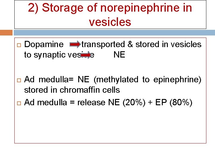 2) Storage of norepinephrine in vesicles Dopamine transported & stored in vesicles to synaptic 2) Storage of norepinephrine in vesicles Dopamine transported & stored in vesicles to synaptic