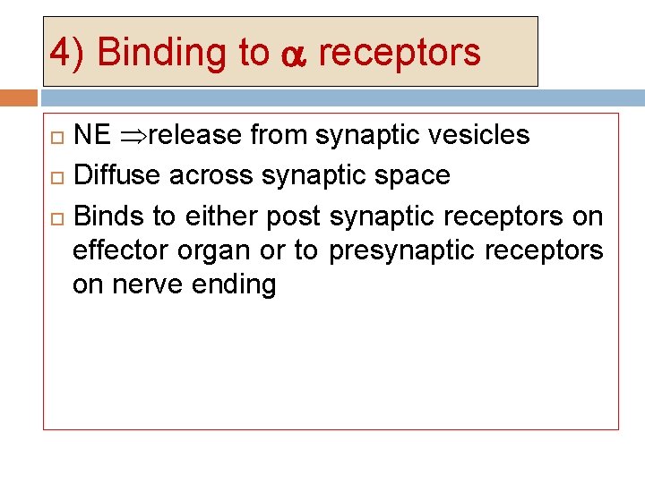 4) Binding to receptors NE release from synaptic vesicles Diffuse across synaptic space Binds 4) Binding to receptors NE release from synaptic vesicles Diffuse across synaptic space Binds