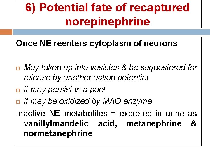 6) Potential fate of recaptured norepinephrine Once NE reenters cytoplasm of neurons May taken 6) Potential fate of recaptured norepinephrine Once NE reenters cytoplasm of neurons May taken