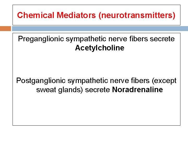 Chemical Mediators (neurotransmitters) Preganglionic sympathetic nerve fibers secrete Acetylcholine Postganglionic sympathetic nerve fibers (except Chemical Mediators (neurotransmitters) Preganglionic sympathetic nerve fibers secrete Acetylcholine Postganglionic sympathetic nerve fibers (except