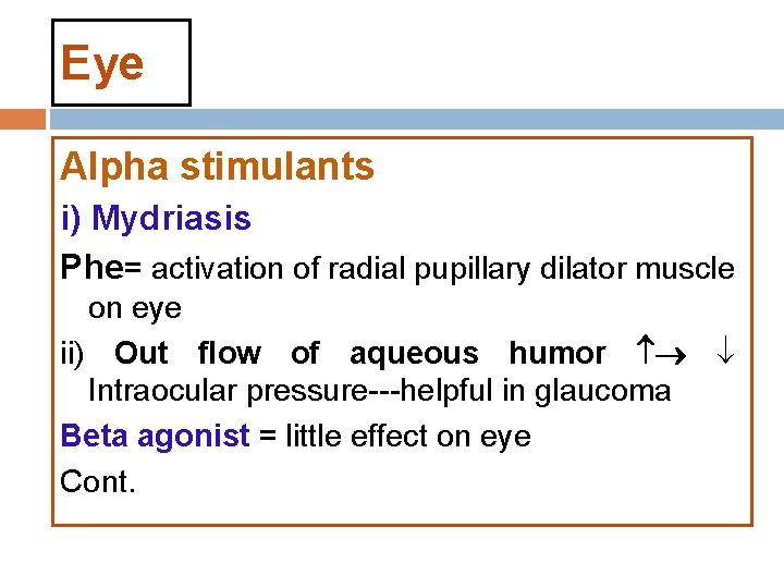 Eye Alpha stimulants i) Mydriasis Phe= activation of radial pupillary dilator muscle on eye Eye Alpha stimulants i) Mydriasis Phe= activation of radial pupillary dilator muscle on eye