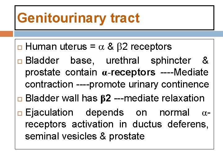 Genitourinary tract Human uterus = & 2 receptors Bladder base, urethral sphincter & prostate Genitourinary tract Human uterus = & 2 receptors Bladder base, urethral sphincter & prostate
