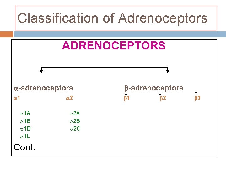 Classification of Adrenoceptors ADRENOCEPTORS -adrenoceptors 1 1 1 A 1 B 1 D 1 Classification of Adrenoceptors ADRENOCEPTORS -adrenoceptors 1 1 1 A 1 B 1 D 1
