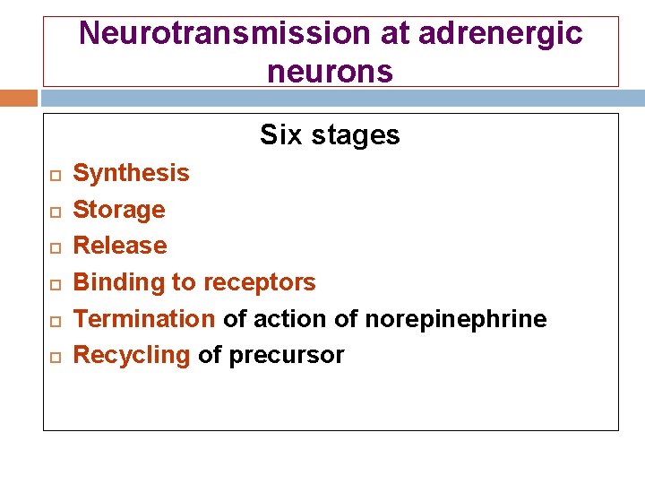 Neurotransmission at adrenergic neurons Six stages Synthesis Storage Release Binding to receptors Termination of Neurotransmission at adrenergic neurons Six stages Synthesis Storage Release Binding to receptors Termination of