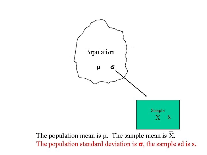 Population µ Sample _ X s _ The population mean is µ. The sample