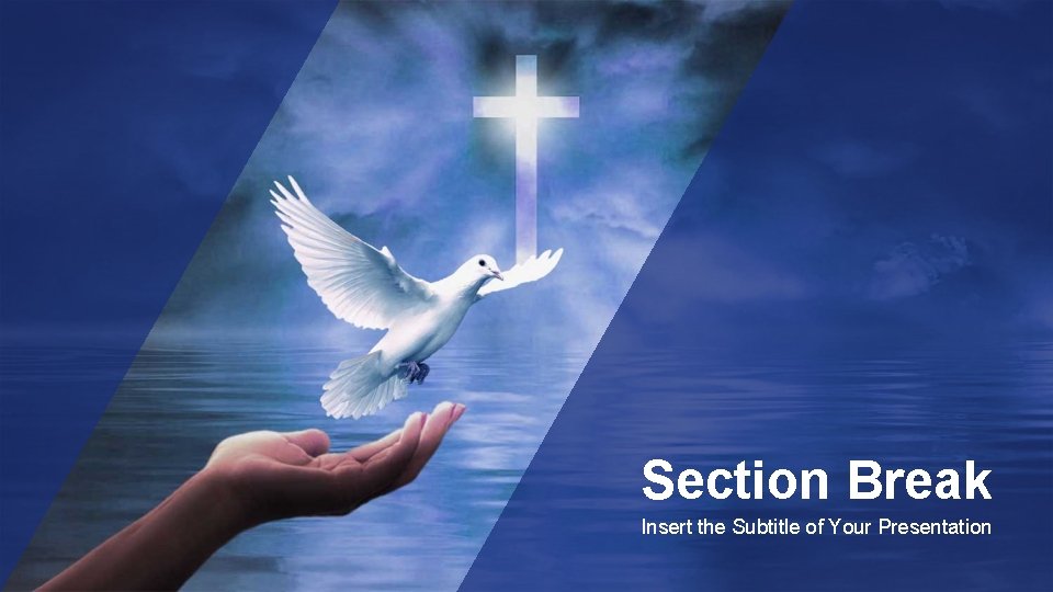 Section Break Insert the Subtitle of Your Presentation 