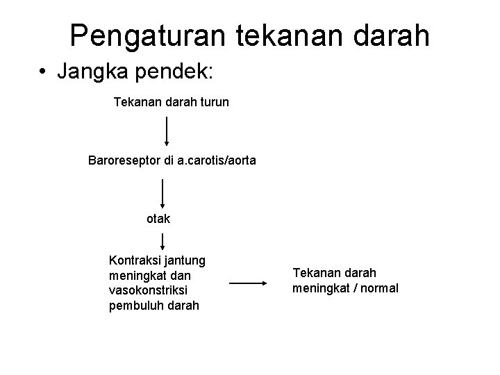 Pengaturan tekanan darah • Jangka pendek: Tekanan darah turun Baroreseptor di a. carotis/aorta otak