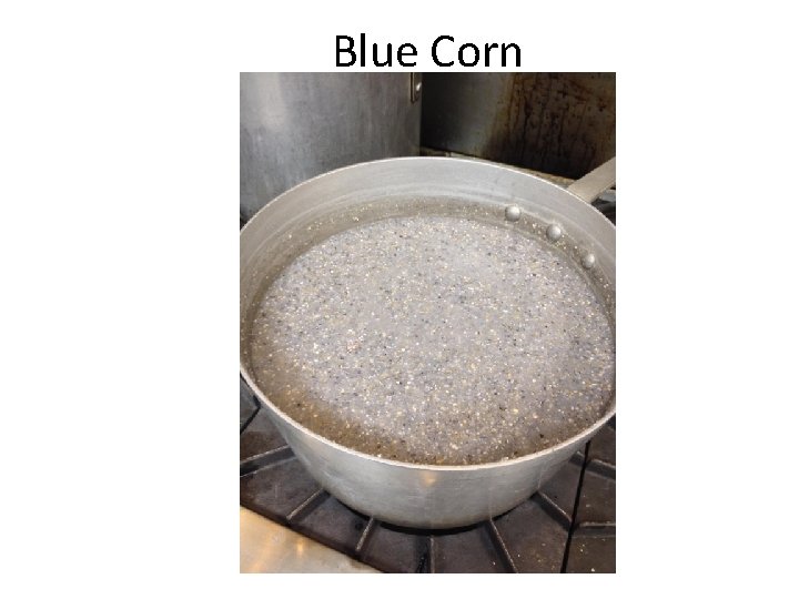 Blue Corn 