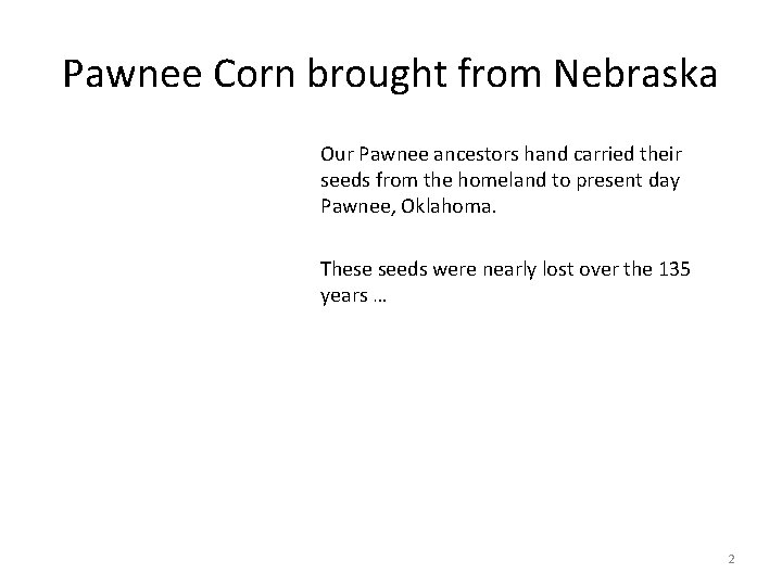 Pawnee Corn brought from Nebraska Our Pawnee ancestors hand carried their seeds from the