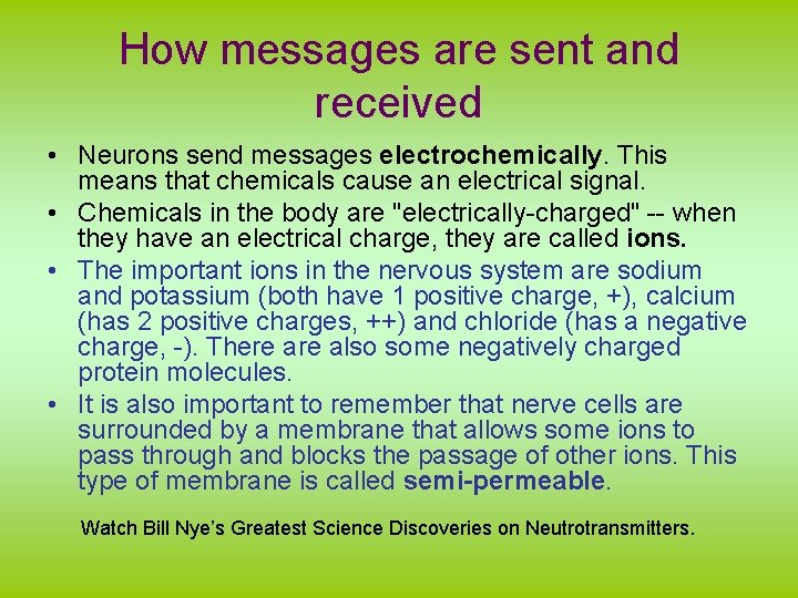 How messages are sent and received • Neurons send messages electrochemically. This means that