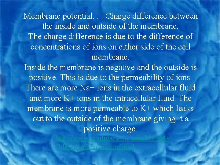 Membrane potential. . . Charge difference between the inside and outside of the membrane.