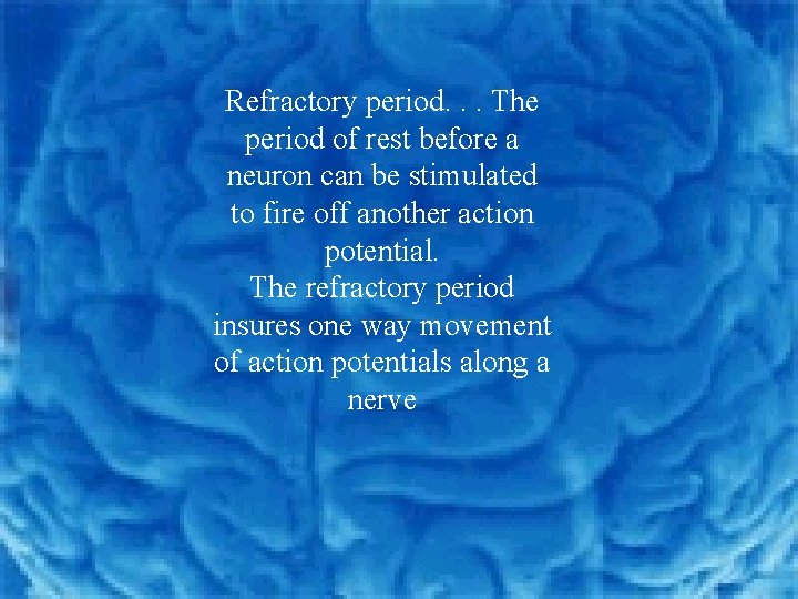 Refractory period. . . The period of rest before a neuron can be stimulated