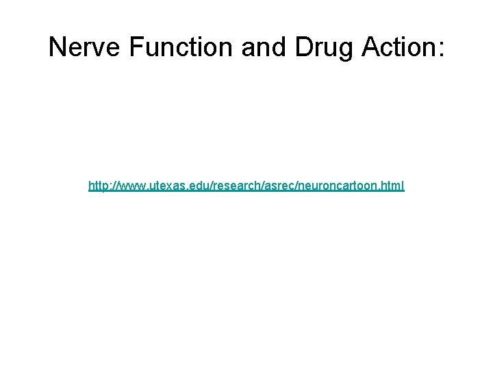 Nerve Function and Drug Action: http: //www. utexas. edu/research/asrec/neuroncartoon. html 