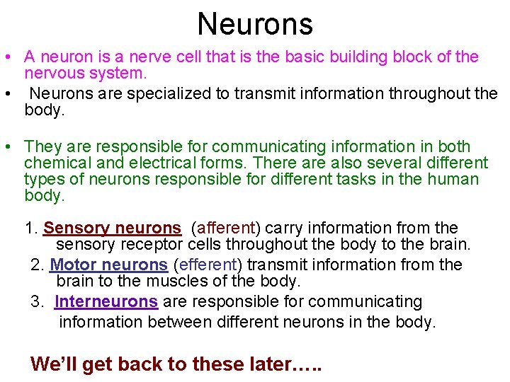 Neurons • A neuron is a nerve cell that is the basic building block