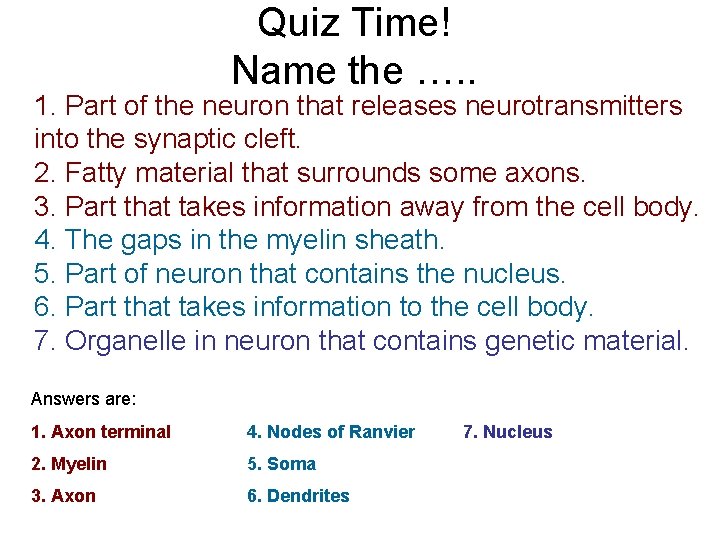 Quiz Time! Name the …. . 1. Part of the neuron that releases neurotransmitters