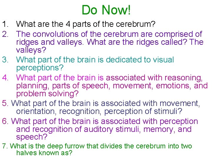 Do Now! 1. What are the 4 parts of the cerebrum? 2. The convolutions