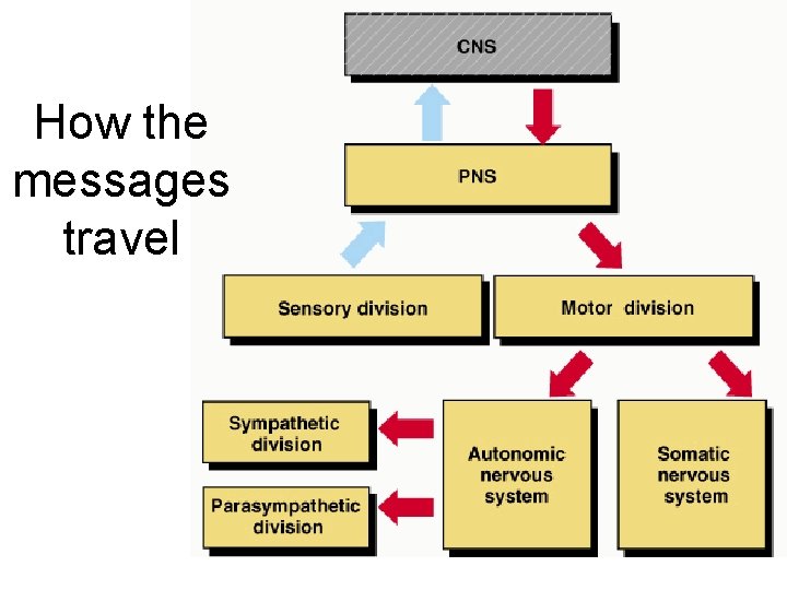 How the messages travel 