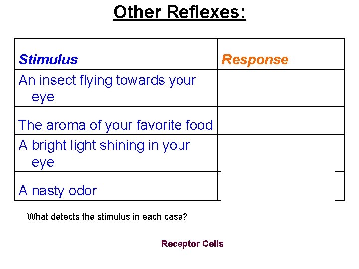 Other Reflexes: Stimulus An insect flying towards your eye Response Blinking The aroma of