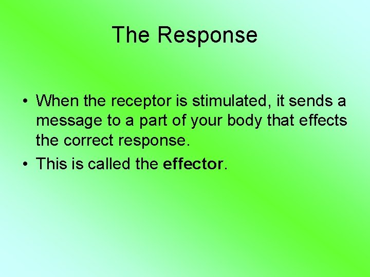 The Response • When the receptor is stimulated, it sends a message to a