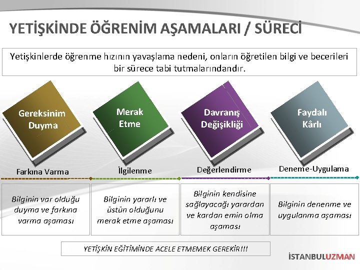 Yetişkinlerde öğrenme hızının yavaşlama nedeni, onların öğretilen bilgi ve becerileri bir sürece tabi tutmalarındandır.