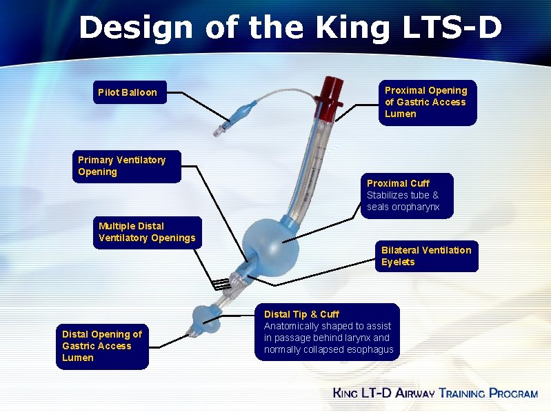 Design of the King LTS-D Pilot Balloon Proximal Opening of Gastric Access Lumen Primary