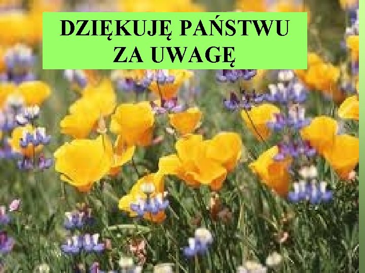 DZIĘKUJĘ PAŃSTWU ZA UWAGĘ 