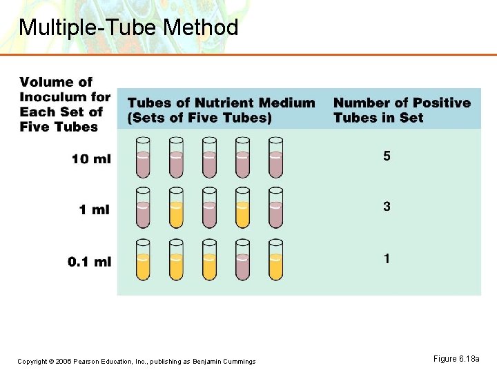 Multiple-Tube Method Copyright © 2006 Pearson Education, Inc. , publishing as Benjamin Cummings Figure Multiple-Tube Method Copyright © 2006 Pearson Education, Inc. , publishing as Benjamin Cummings Figure