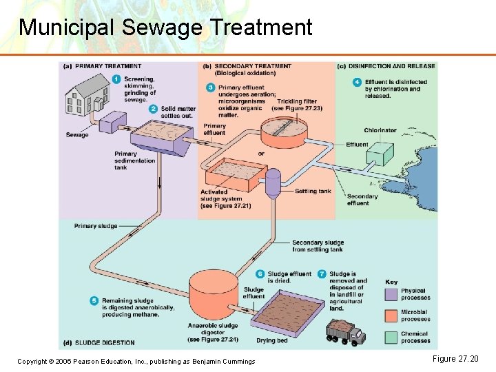 Municipal Sewage Treatment Copyright © 2006 Pearson Education, Inc. , publishing as Benjamin Cummings Municipal Sewage Treatment Copyright © 2006 Pearson Education, Inc. , publishing as Benjamin Cummings