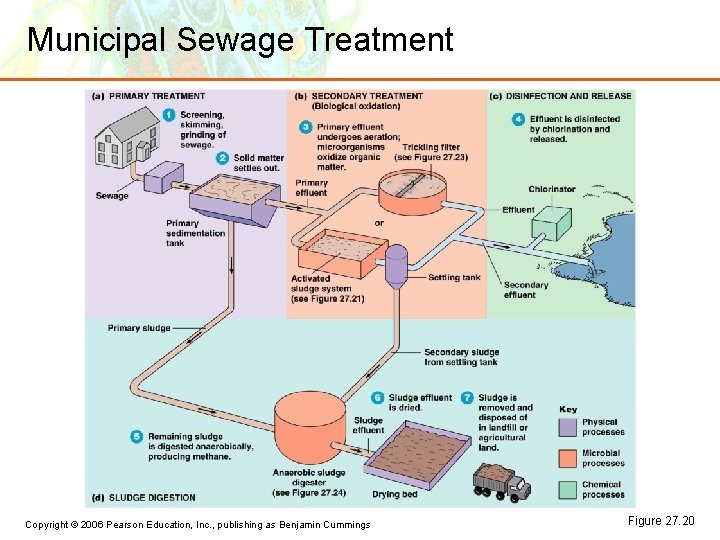 Municipal Sewage Treatment Copyright © 2006 Pearson Education, Inc. , publishing as Benjamin Cummings