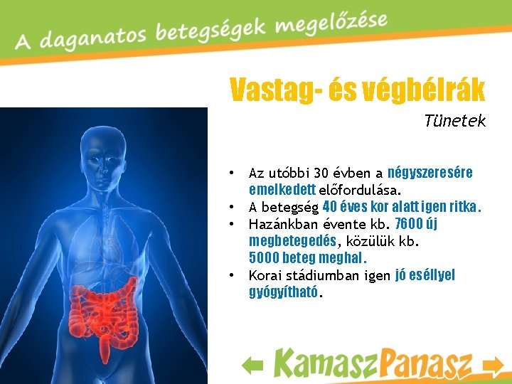 Vastag- és végbélrák Tünetek • • Az utóbbi 30 évben a négyszeresére emelkedett előfordulása.