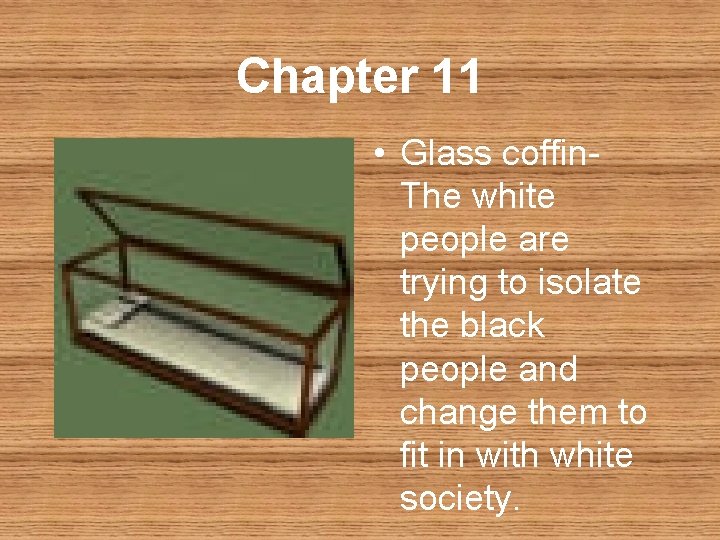 Chapter 11 • Glass coffin. The white people are trying to isolate the black