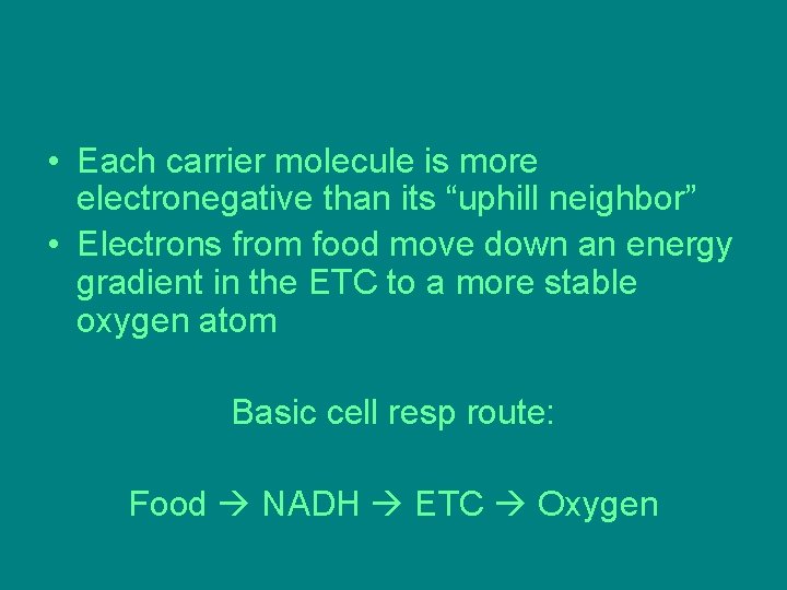 • Each carrier molecule is more electronegative than its “uphill neighbor” • Electrons • Each carrier molecule is more electronegative than its “uphill neighbor” • Electrons