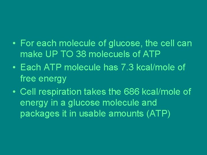 • For each molecule of glucose, the cell can make UP TO 38 • For each molecule of glucose, the cell can make UP TO 38