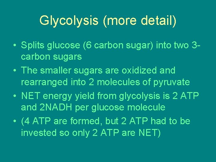 Glycolysis (more detail) • Splits glucose (6 carbon sugar) into two 3 carbon sugars Glycolysis (more detail) • Splits glucose (6 carbon sugar) into two 3 carbon sugars