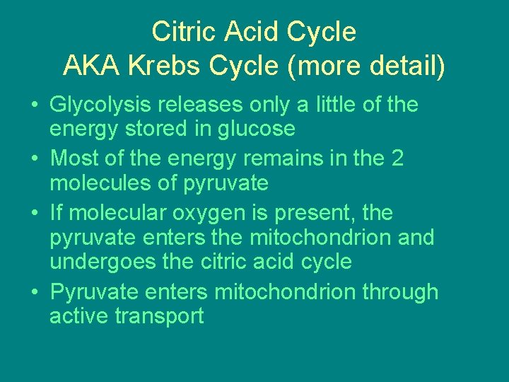 Citric Acid Cycle AKA Krebs Cycle (more detail) • Glycolysis releases only a little Citric Acid Cycle AKA Krebs Cycle (more detail) • Glycolysis releases only a little