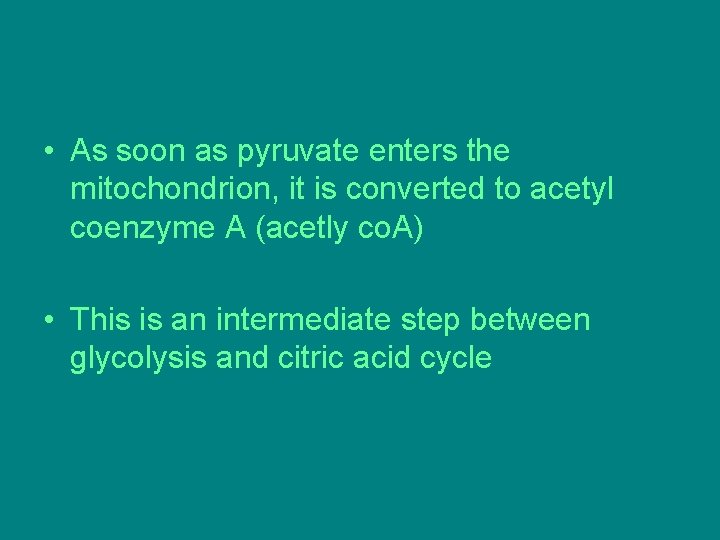 • As soon as pyruvate enters the mitochondrion, it is converted to acetyl • As soon as pyruvate enters the mitochondrion, it is converted to acetyl