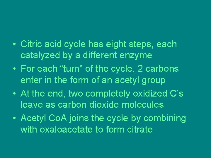 • Citric acid cycle has eight steps, each catalyzed by a different enzyme • Citric acid cycle has eight steps, each catalyzed by a different enzyme