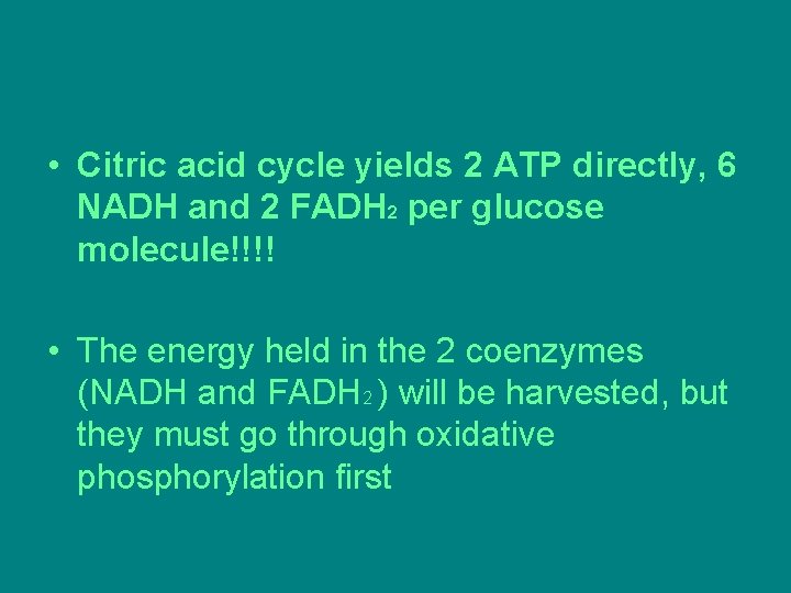 • Citric acid cycle yields 2 ATP directly, 6 NADH and 2 FADH • Citric acid cycle yields 2 ATP directly, 6 NADH and 2 FADH